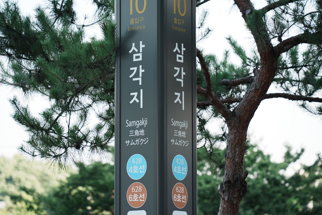 [심층 리포트] 2026년 정부지원금 대전환: 달라지는 신청 조건과 최대 혜택 확보 전략 이미지 5